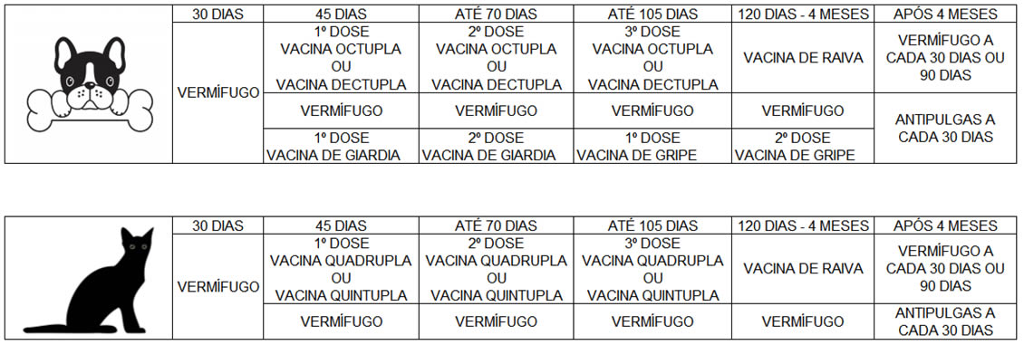 Vacinação pet em Curitiba